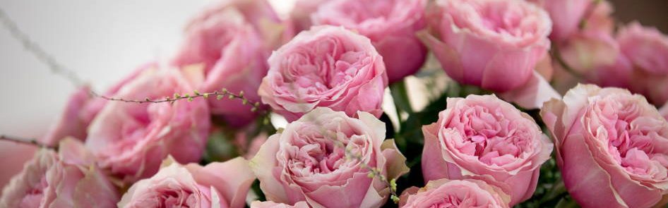 Things to know about the different forms of rose