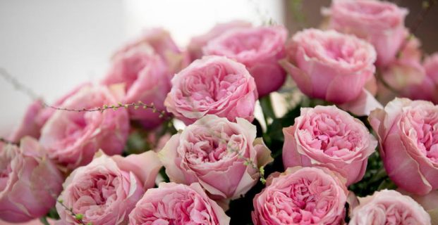 Things to know about the different forms of rose